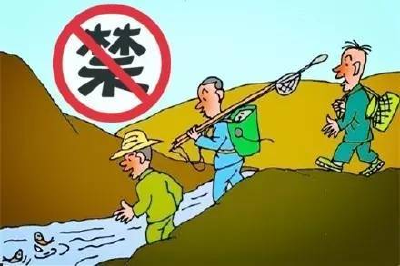 鄱阳湖洞庭湖共启“清湖行动” 向非法捕捞宣战 
