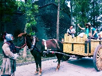 《入城仪式》试演 游客迎关公凯旋