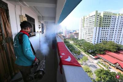 23名中国人在新加坡感染寨卡病毒 部分人已痊愈