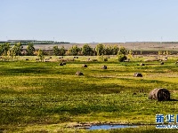 【大美中国】呼伦贝尔大草原秋日即景