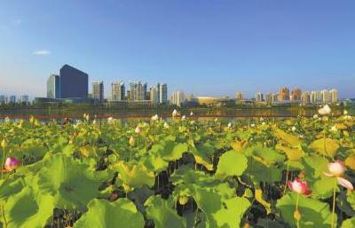 住建部否认海绵城市防汛试点失败：非立竿见影