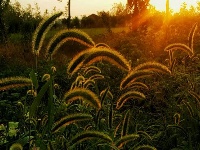 江陵资福寺 蓝天与晚霞