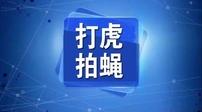 违规发放福利、公款吃喝…沙市区通报6起典型案例