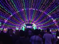 今年中秋，荆州古城将Bling Bling !!