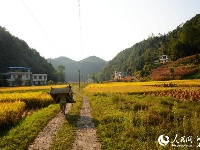 湖北恩施:硒都秋色美如画