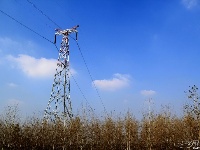 【美荆州】江陵，不一样的秋色。