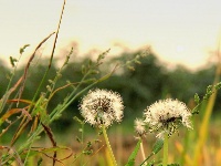 【美荆州】江陵，不一样的秋色。