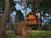 树屋、房车、观星篷...洈水露营基地美如仙境