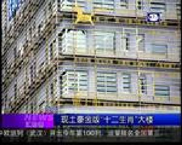 汇拍客:可爱流浪狗被救后每天享饕餮盛宴