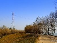 【美荆州】江陵，不一样的秋色。