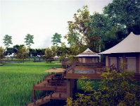 树屋、房车、观星篷...洈水露营基地美如仙境