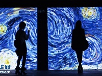 “不朽的梵高”亮相罗马