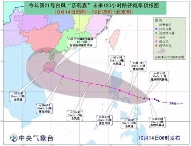 荆州持续11天都是雨、最高温接近个位数！还有5个台风袭来......