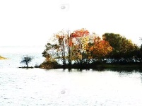 你可能还不知道，荆州的深秋那么美！