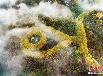 穿过云雾俯瞰南京紫金山“最美项链” 