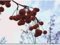 你可能还不知道，荆州的深秋那么美！