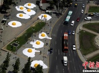 你见过这么大的鸡蛋黄吗？