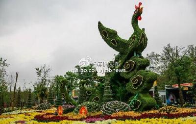 第十二届中国(荆门)菊花展闭幕 荆州斩获7项大奖