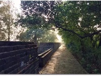 你可能还不知道，荆州的深秋那么美！