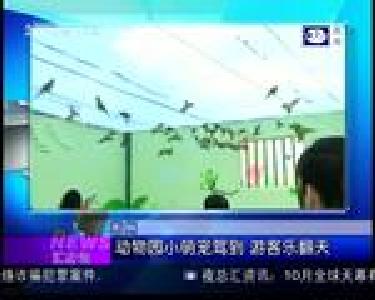 汇身边：高速路车流猛增 刮擦事故不断