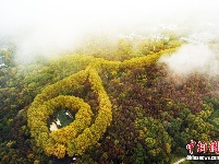 穿过云雾俯瞰南京紫金山“最美项链” 