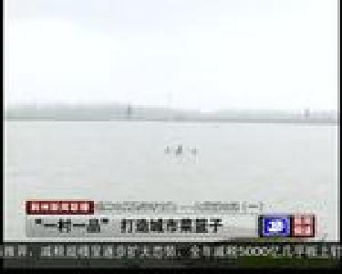 “一村一品”打造城市菜篮子