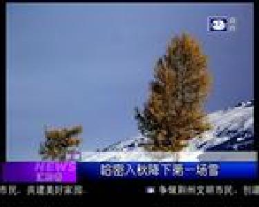 汇拍客：手工帝！纸做的6缸发动机