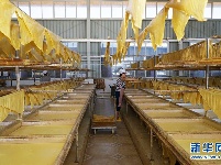云南石屏：小豆腐 大产业 