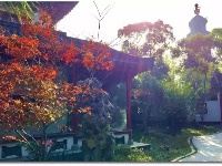 你可能还不知道，荆州的深秋那么美！