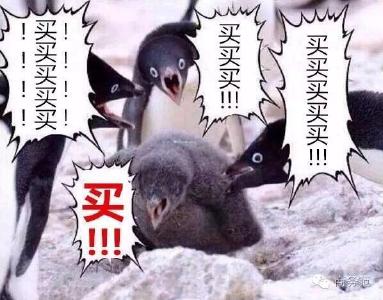 双十一大幕开启 学生疯狂市民理性