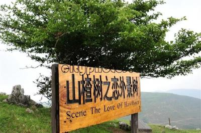 十大经典电影旅游桥段出炉 湖北四景区成功入选