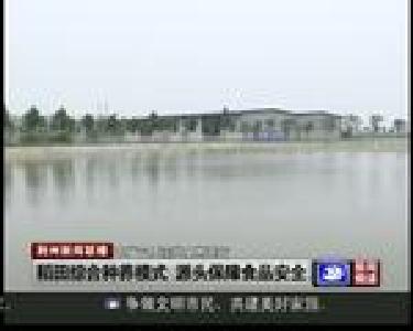 稻田综合种养模式 源头保障食品安全