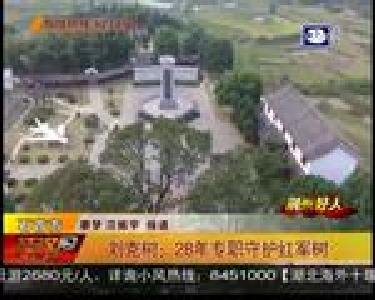 刘克树：28年专职守护红军树