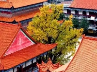 你可能还不知道，荆州的深秋那么美！