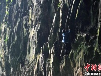 【图片故事】徒手于绝壁的苗族汉子