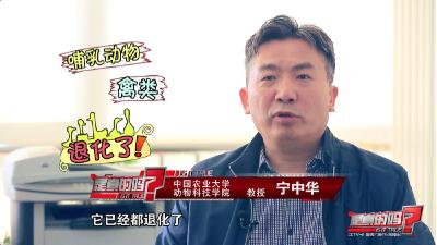 人民网“求真”栏目  常吃鸭脖易得淋巴癌？专家：无必然联系