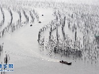 追光逐影在霞浦“梦幻海岸”