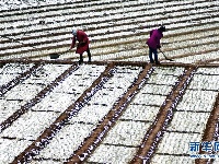 小雪到 冬管忙 