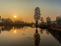 你可能还不知道，荆州的深秋那么美！