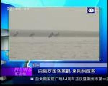 汇身边：一古建门楼被重型货车撞塌