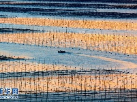 追光逐影在霞浦“梦幻海岸”