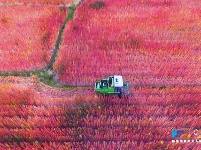 航拍祖国各地田间丰收美景