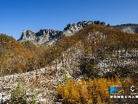 神农架初雪秋色 山上冰雪山下秋
