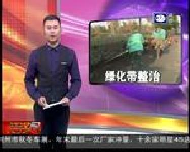 城区绿化带整治行动开始了