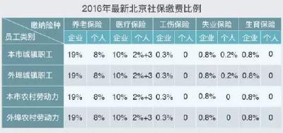 关于社保，你想知道的都在这儿了