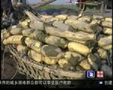 无公害农产品实现产业化布局