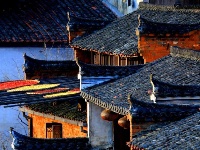 冬日“晒秋”图