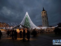 立陶宛的圣诞树 