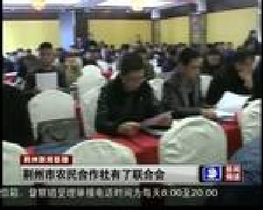 荆州市农民合作社有了联合会