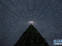 立陶宛的圣诞树 